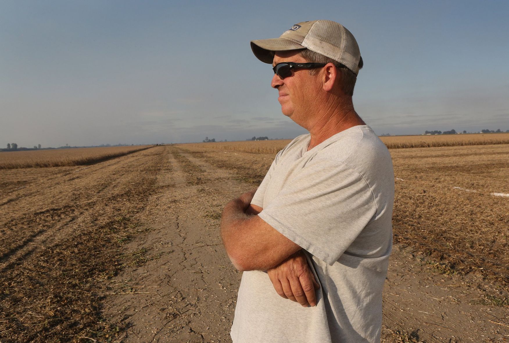 Farmers on Both Sides of Dicamba Herbicide Issue